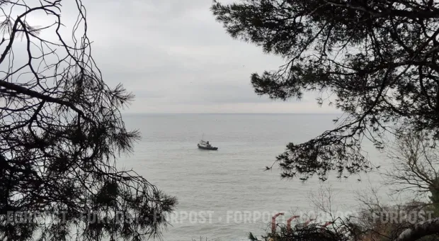 Новости Крыма - 