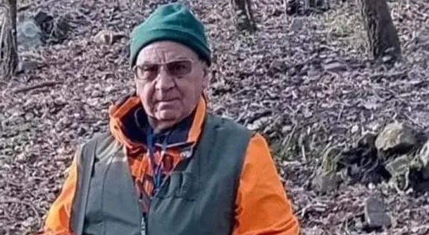 Мировые новости - В Севастополе хотят разрешить обрезку деревьев без порубочного билета