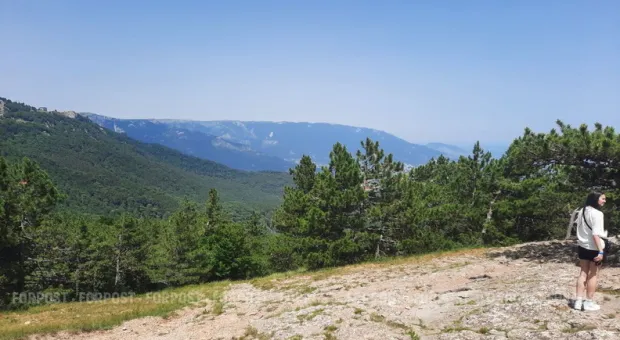 Новости Севастополя - Много дыма без огня: на Крымском мосту учения совпали с ДТП