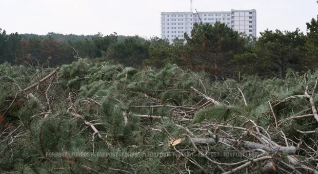 Новости Севастополя - 
