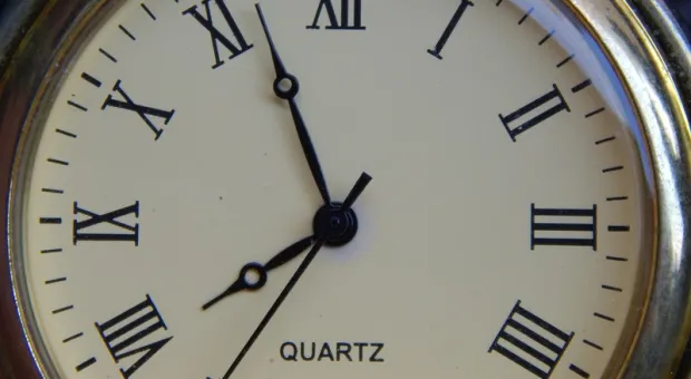 Мировые новости - В Севастополе одобрили идею отбирать у могильщиков природы автомобили