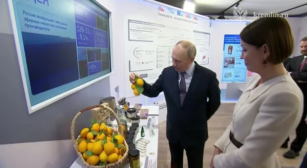«Ой, красотки»: Владимир Путин оценил внешний вид крымских лимонов
