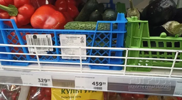 Новости Севастополя - 