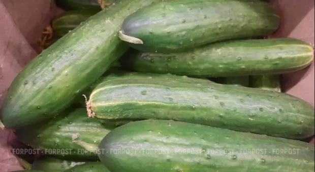 Новости Крыма - 