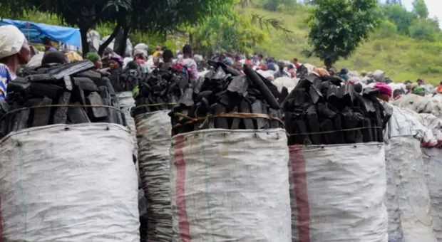 Мировые новости - 