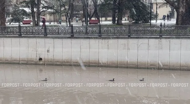 Новости Крыма - В Латвии мужчину задержали за празднование Масленицы в майке «СССР»