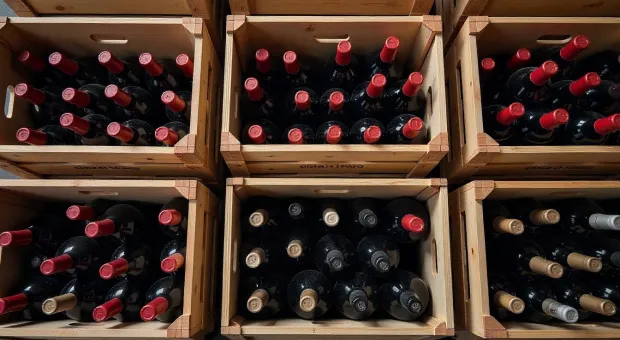 Новости Севастополя - «Это наша корова»: виноделы Севастополя бьют рекорды