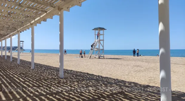 Новости Севастополя - СевСети #849. Наглые голуби, удивительные пчелы и тыквы для Золушек