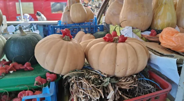 Новости Севастополя - СевСети #850. Первые подлодки и губернатор без мигалок