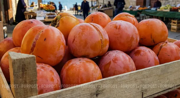 Новости Севастополя - СевСети #854.Новый маяк Севастополя, потерянный дедушка и костюм капусты