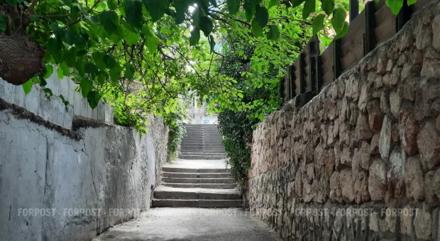 Новости Севастополя - СевСети #857. Севастопольские расхитительницы клумб и священник и хэллоуин