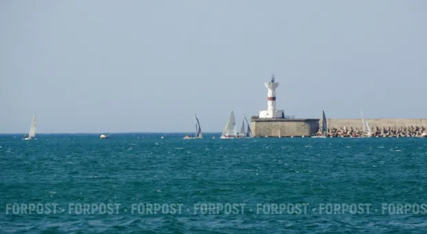 Новости Севастополя - СевСети #855. Позор севастопольским хозяйкам и автомобиль в кустах