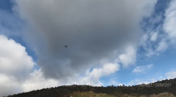 Новости Севастополя - 17-летний севастополец осужден за посты в соцсетях