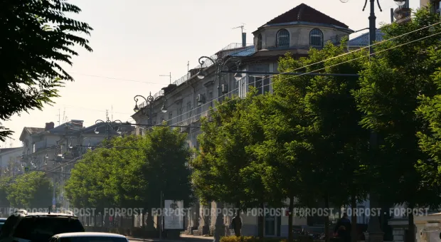 Новости Севастополя - Почему Севастополь озеленяют лавочками и урнами?