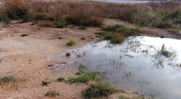 Новости Севастополя - В Севастополе намерены научить работать управляющие компании 