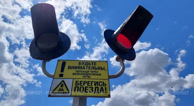 Новости Севастополя - СевСети #867. Польза пробок и цены – выше московских