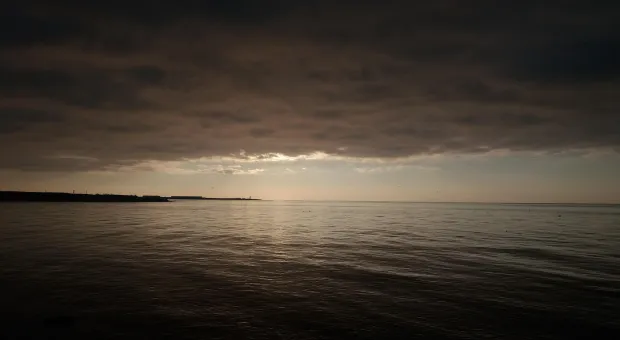 Новости Севастополя - В Севастополе треть магазинов может подпасть под новые «алкогольные» ограничения