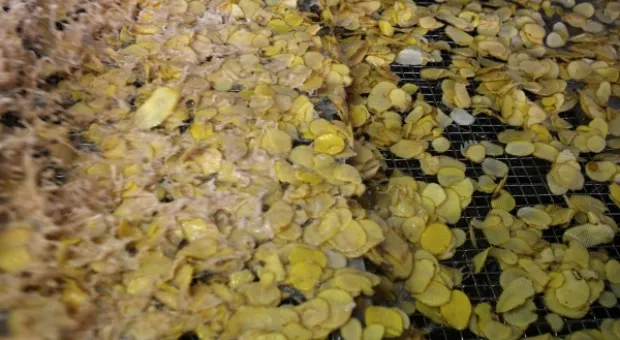 Новости России - К 2042 году севастопольцам обещают среднюю зарплату 280 тысяч рублей