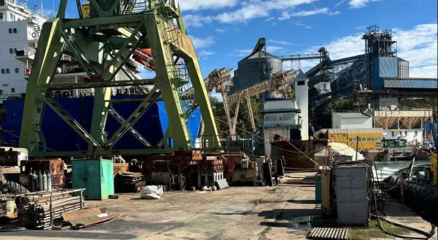 Новости Севастополя - От каких продуктов россияне отказываются добровольно, а от каких отказаться не могут