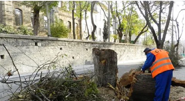 Новости Севастополя - Севсети#876: НЛО в Севастополе, всё в дыму и параллельная реальность 