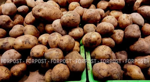 Новости России - 