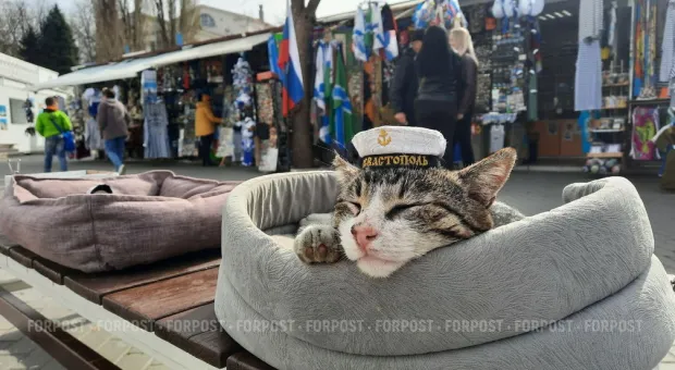 Новости Севастополя - 