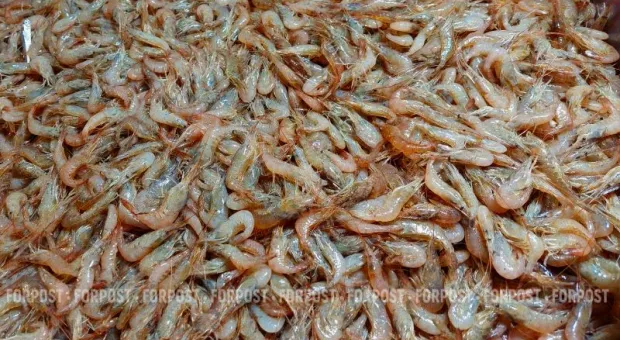 Новости Крыма - 