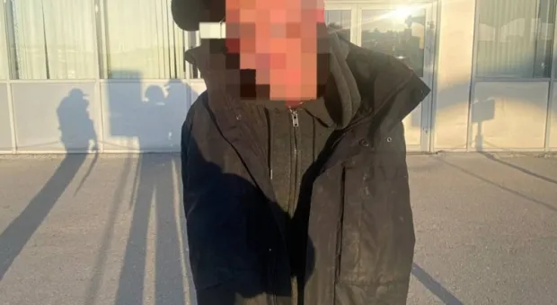 Новости Севастополя - Реальные истории вместо вымысла: как меняются российские онлайн-кинотеатры?