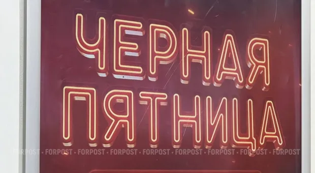 Новости Севастополя - Севсети#889. Убийца птиц, исчезновение женского пола и ловушка на Симонка 