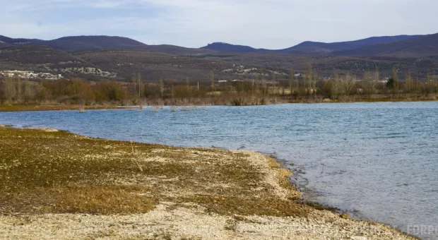 Новости Севастополя - На Большой Морской высадят робинии, клены и липы