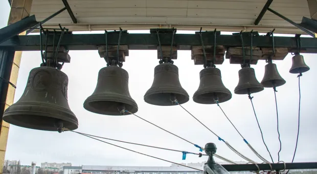 Новости Севастополя - Севсети#890: Тайны старого кладбища, небывалые скидки и зубы с кулаком 