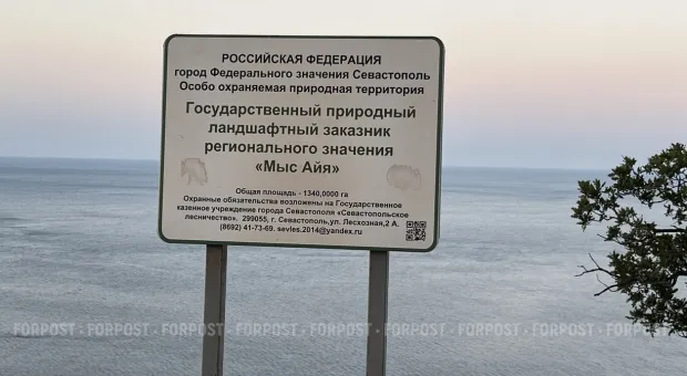 Новости Севастополя - Избежит ли центр Севастополя «зелёной зачистки» 