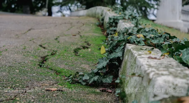 Новости Севастополя - Севастополю нужен дизайн-код! — реконструкторы Большой Морской