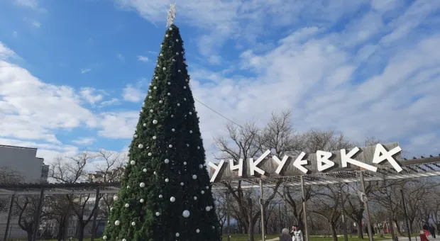 Новости Севастополя - В Севастополе сотрудница полиции попала под колёса 