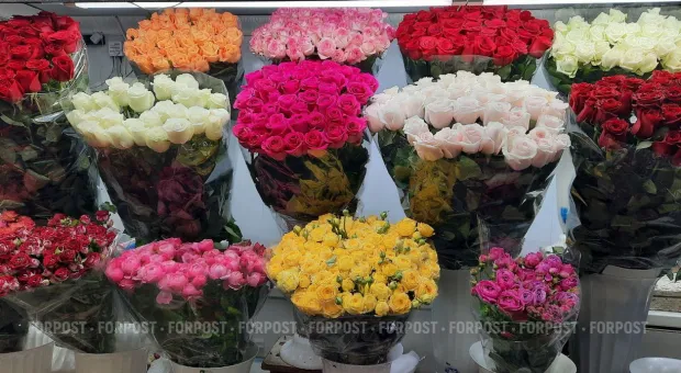 Новости Севастополя - 