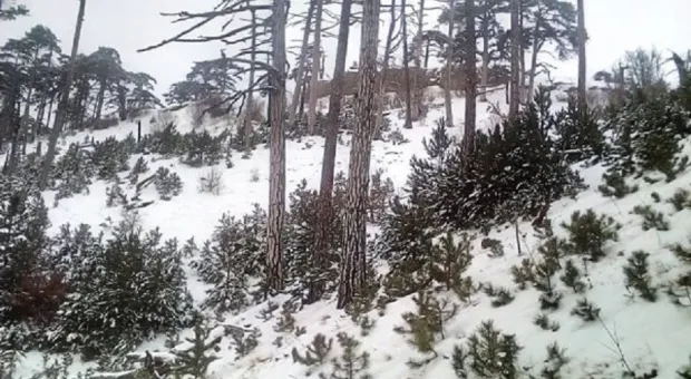 Где в Крыму найти снег зимой