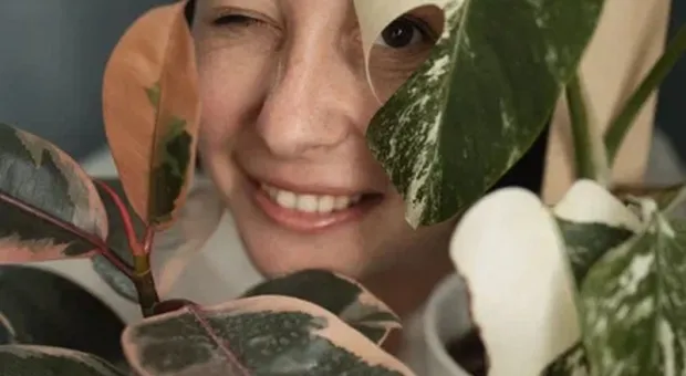 Новости Крыма - Не только кактус на окне: как крымчане устраивают дома настоящие джунгли 