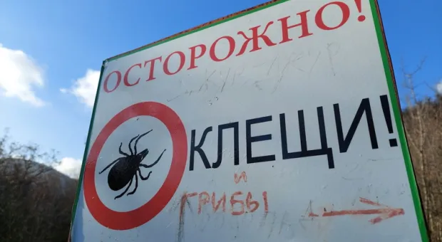 Новости России - 