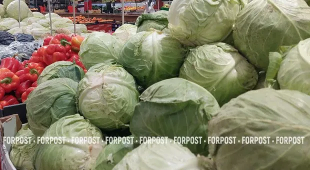 Новости Севастополя - 