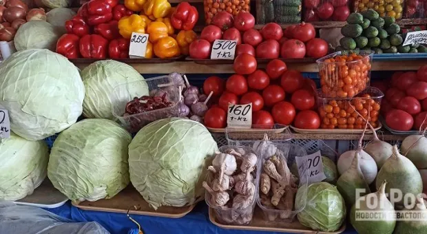 Новости Севастополя - 