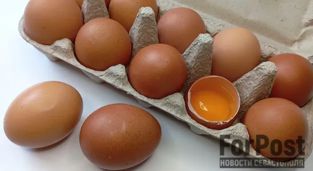 Новости Севастополя - На юге России усиливают продовольственную безопасность