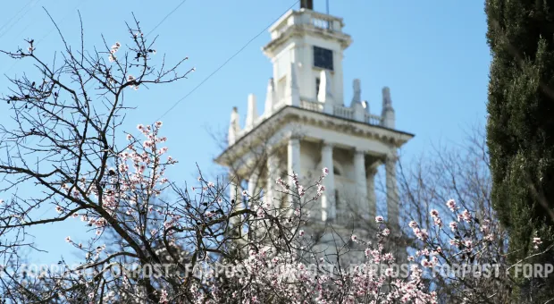 Новости Севастополя - 