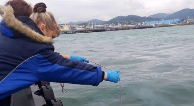 Новости Крыма - «Мама видела, как летели ракеты». Жительница Брянска рассказала о ракетной атаке по городу