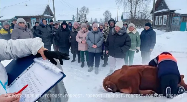 Новости России - 