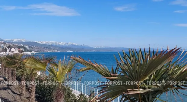 Новости Крыма - Меньше водки, больше вина: как Севастополь попал в компанию к Карелии и Петербургу