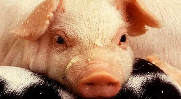 Мировые новости - 