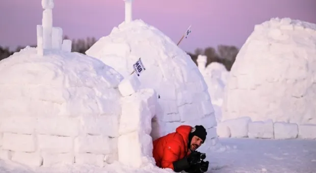 Новости Крыма - Жареная барабулька, Спящая Красавица и заповедные сосны