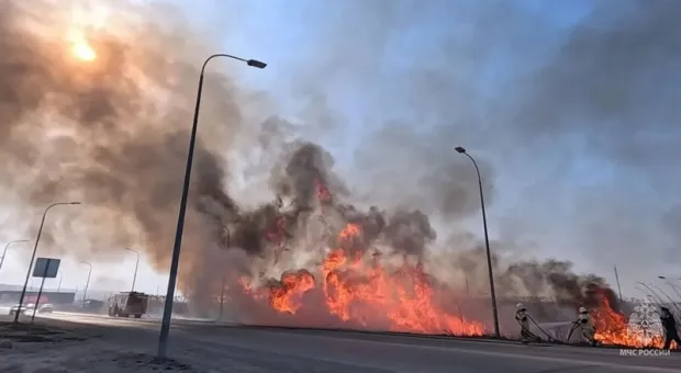 На востоке Крыма больше 20 часов тушат масштабный ландшафтный пожар