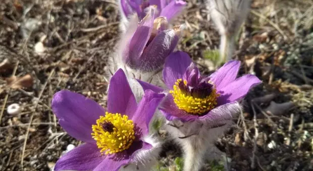 Новости Крыма - Пять удивительных мостов мира