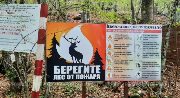 Новости Севастополя - 